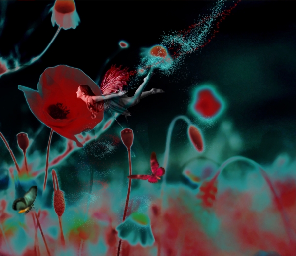 Creation of Poppy Fairy: Step 10